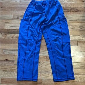 Free People Hot Shot pants. Size small. Color: regal (cobalt blue), Harem style